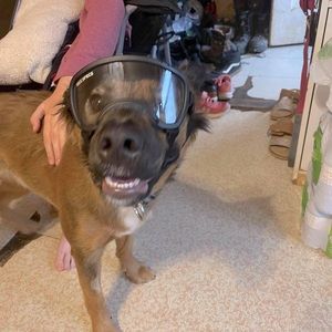 Brand new Rex specs size small wide .. made to fit  short muzzle breeds.